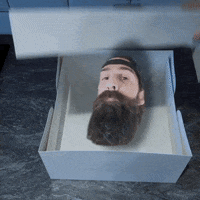 TheBeardStruggle brand beard viking tbs GIF