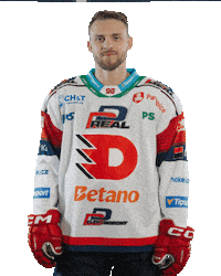 Hockey Czech Sticker by HC Dynamo Pardubice
