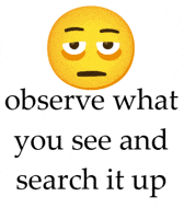 Observe GIF