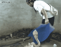 big GIF