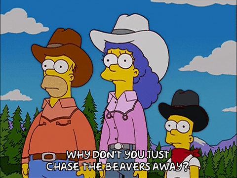 homer simpson episode 13 GIF