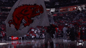 Ncaa Basketball Hogs GIF by Arkansas Razorbacks