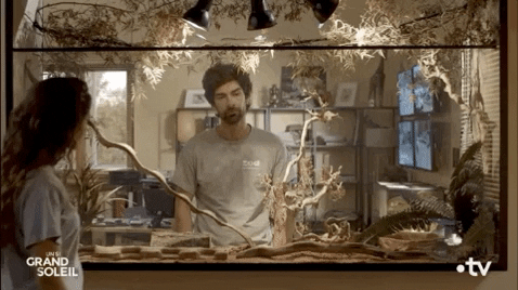 Ludo Knock GIF by Un si grand soleil