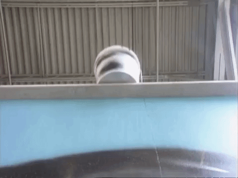 the mystery files of shelby woo nicksplat GIF