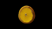 Salutaris GIF by Madame