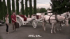 comedy central GIF by Workaholics