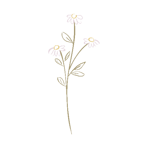 Flowers Daisy Sticker