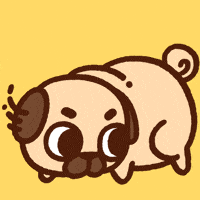 Look Around What GIF by Puglie Pug