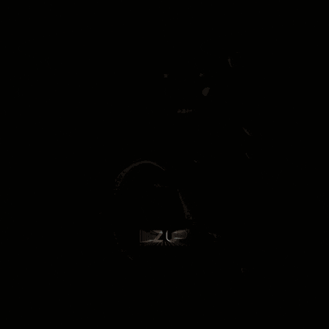 lizupprofessional giphyupload lizup lizuppro escovaorganica GIF