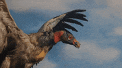 La Salle Art GIF by jorgemariozuleta