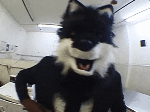 Wolf Bass GIF by IDK