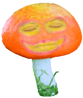 Gif Artist Wtf Sticker by Sarah Zucker