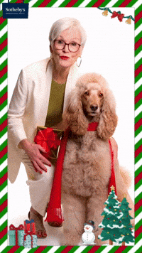 Standard Poodle Christmas GIF by LIFE on the Monterey Bay