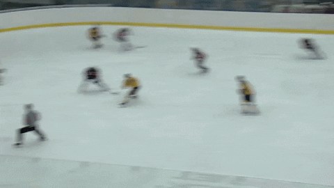 GIF by Piráti Chomutov