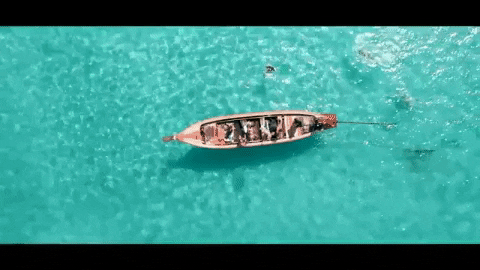 NowOrNeverTrips giphygifmaker nowornevertrips GIF
