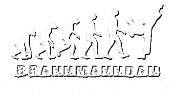 Ufc Wtf Sticker by Brannmanndan