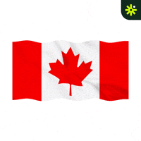 Sticker Flag GIF