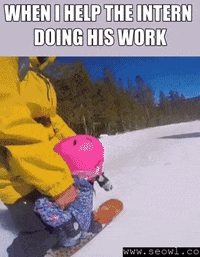 seowl_app seo seowl GIF