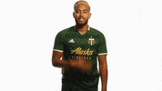Portland Timbers GIF by Timbers