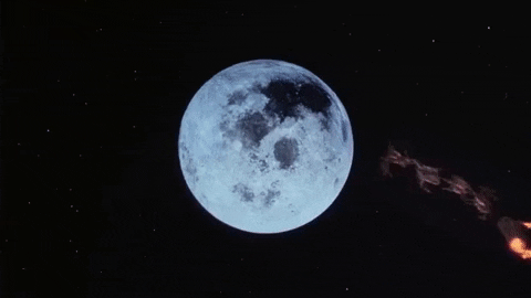 christmas vacation GIF