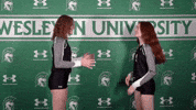 Iwuwvb24 GIF by iwusports