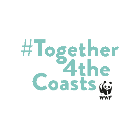 Sticker by Calzedonia