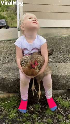 Child With Her Chickens