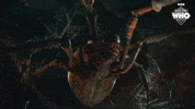 Season 2 Spider GIF by Doctor Who