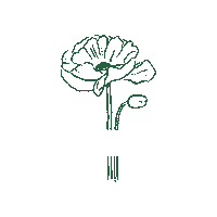 Greek Life Flower Sticker