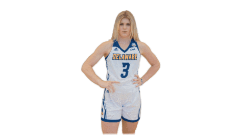 Basketball No Sticker by Delaware Blue Hens