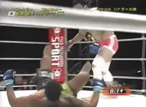 hywelteague giphygifmaker mma saku pride fc GIF
