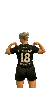 Lsv Sticker by Luener SV Handball
