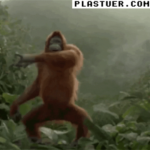 giphyupload GIF