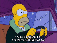 homer simpson GIF