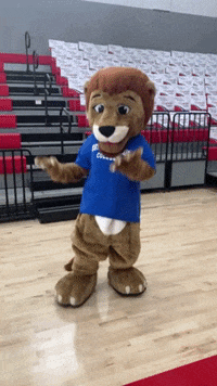 northcentraltexascollege gameday lions go lions nctc GIF