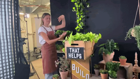 GIF by Black Math