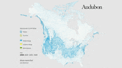 short-eared owl GIF by audubon