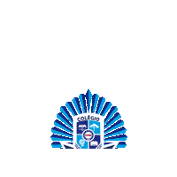 cvmvidaeensino cvm colégio militar colégio cvm vida e ensino cvmvidaeensino Sticker