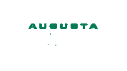 Baseball Augusta Sticker by GreenJackets