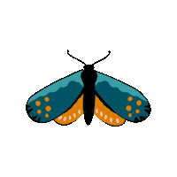 lunadannemannn butterflies mariposas lunadannemann luna dannemann Sticker