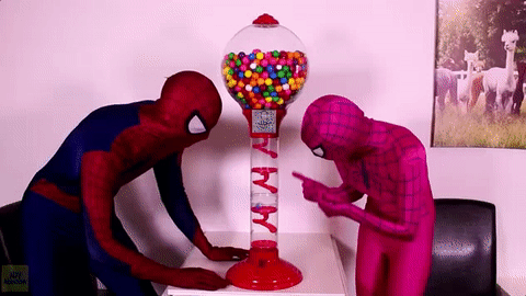 GIF by Webs & Tiaras