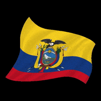 bsmartec smile ecuador orgullo escudo GIF