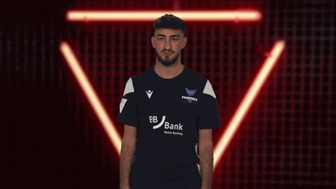 Karlsruher Sc Vbl GIF by Bundesliga