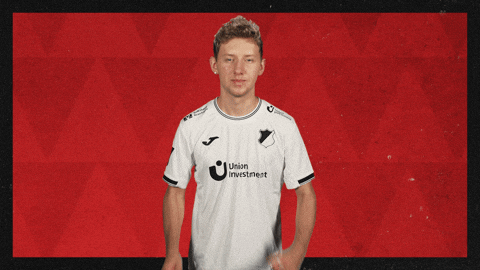 Tsg Hoffenheim Football GIF by Bundesliga