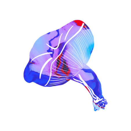0netwentysix  Sticker