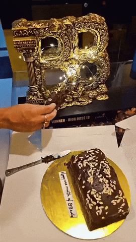Karanveermehra GIF