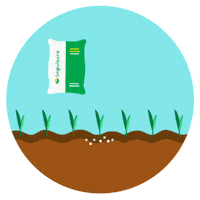 Agronomia Maiz Sticker by Grupo Impulsora