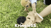Kringle55 kringle funny puppets kringle55 GIF