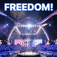 Washington Dc Freedom GIF