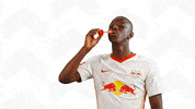 Fun Mood GIF by RB Leipzig